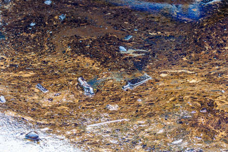 Ecological catastrophy. Close-up. Spill of oil products into the sea. Poisonous oil products float...