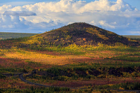 The nature of the Magadan region. Bright low hills in the tundra, covered with grass and colorful...