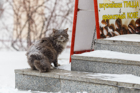 January, 2016 - Vladivostok, Russia - Heavy snowfall in Vladivostok. Lonely man walks past the inscription Happy New Year during heavy snowfallのeditorial素材