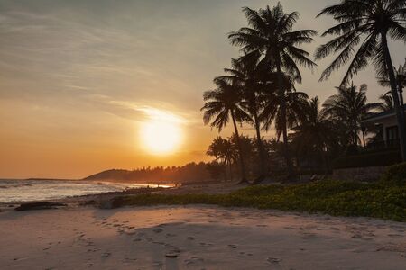 Beautiful sunset at tropical beach with palm treesの写真素材