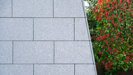 Bush Next To the Grey Stone Wall Simple Wallpaper Photo