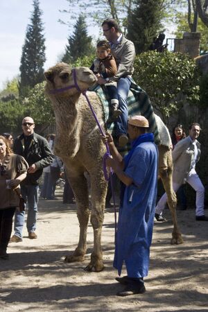 Camel ride, Medieval Market Oropesa, Toledo,  22/04/20112のeditorial素材