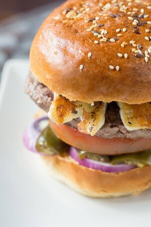 meat hamburger with homemade bread on a plateの写真素材