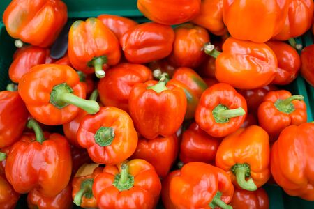 Red bell pepper on a store counterの写真素材