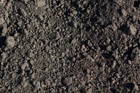 Soil ground texture background pattern. Dirt earth.の写真素材