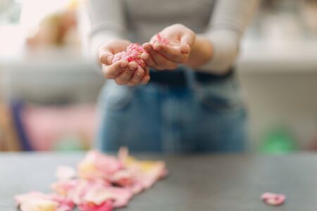 Woman hands and pink flowers and petals in the palms and tableの写真素材