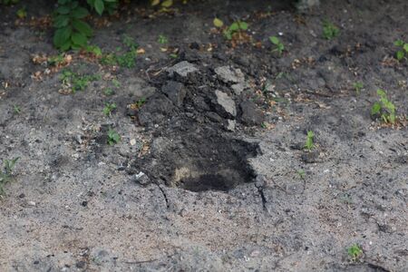 Planting tree in the ground. Hole and plant seedlings treesの写真素材