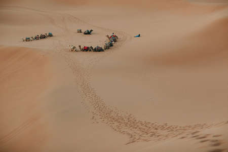 Camels and guide in the Desert Sahara. Sand and sunの写真素材