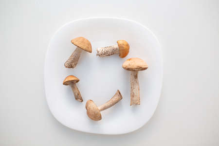 Fresh raw boletus mushrooms in white plate on white background.の写真素材
