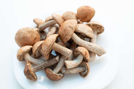 Fresh raw boletus mushrooms in white plate on white background.の写真素材