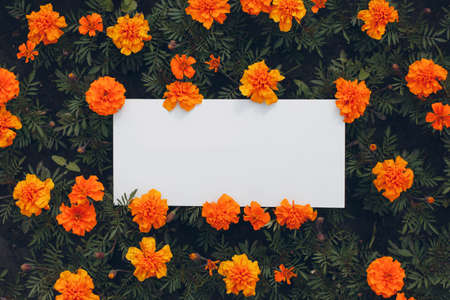 White paper poster with copy space on flowerbed. Blank template sheet without inscription in...