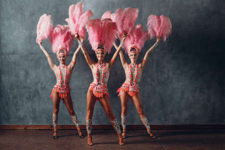 Three Women in samba or lambada costume with pink feathers plumageの写真素材