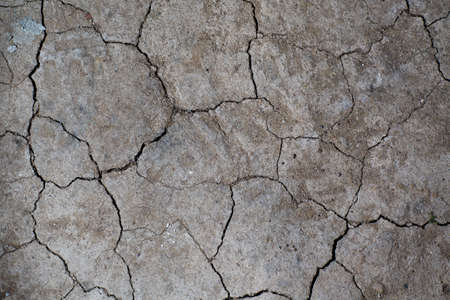 Dry cracked earth ground texture. No watering desert.の写真素材