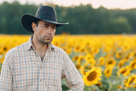 Man farmer standing in a sunflower field.の写真素材