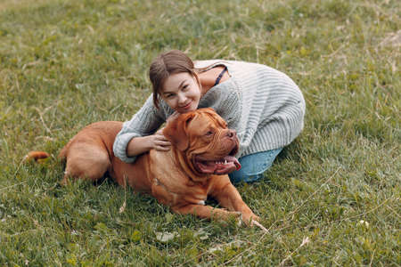 Dogue de Bordeaux or French Mastiff with young woman at outdoor park meadowの写真素材