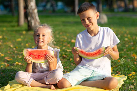 To cute kids lttle boy and girl eating juicy watermelon in the autumn park meadowの写真素材