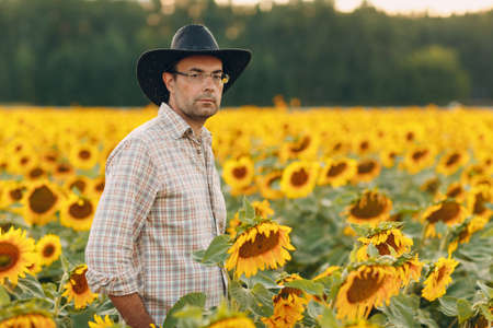 Man farmer standing in a sunflower field.の写真素材