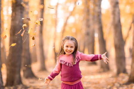 Cute little girl in autumn park with orange and yellow color leavesの写真素材