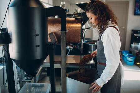 Woman worker at Coffee destoner machine at coffee roasting processの写真素材