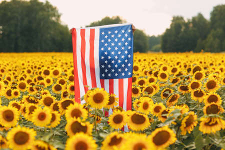 American flag in the sunflower field. 4th of July Independence Day USA conceptの写真素材