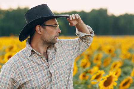 Man farmer standing in a sunflower fieldの写真素材