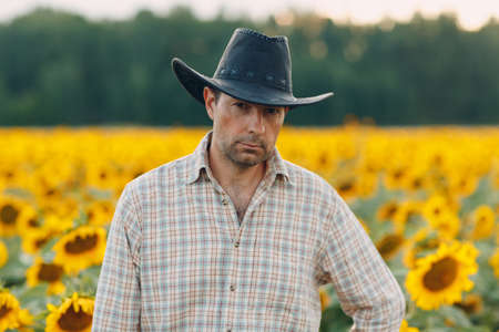 Man farmer standing in a sunflower fieldの写真素材