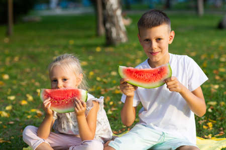 To cute kids lttle boy and girl eating juicy watermelon in the picnic at autumn park meadow.の写真素材