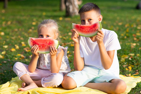 To cute kids lttle boy and girl eating juicy watermelon in the autumn park meadow.の写真素材