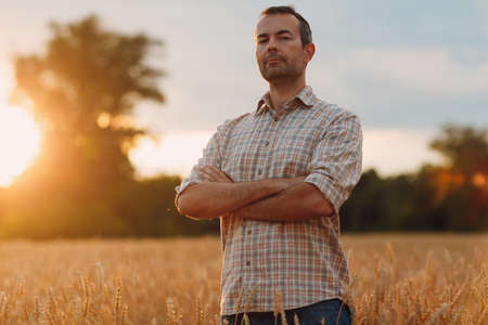 Man farmer in wheat field at sunset. Farming and agricultural harvestingの写真素材