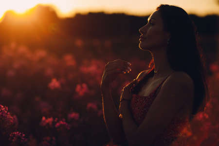 Girl on blooming Sally flower field at sunset. Lilac flowers and womanの写真素材