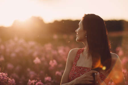Girl on blooming Sally flower field at sunset. Lilac flowers and womanの写真素材