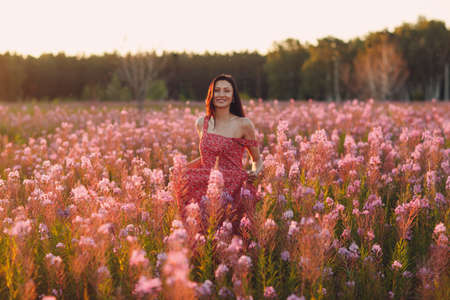 Young european woman on blooming Sally flower field at sunset. Lilac purple summer flowers and girl female in pink dress.の写真素材