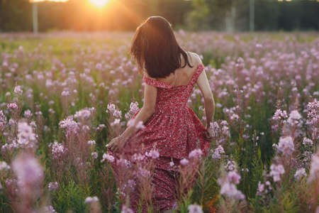 Girl on blooming Sally flower field at sunset. Lilac flowers and womanの写真素材