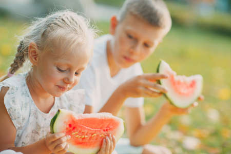 Funny little toddler kids brother and sister eating watermelon on the park. Happy boy and girl together. Childhood, Family, Healthy Diet Conceptの写真素材