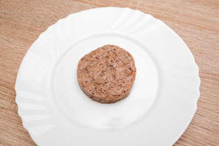 Plant based soy meat cutlet healthy dish plate.の写真素材