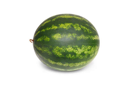 Watermelon with shadow whole isolated on white background. Image for catalog and advertising market shop.の写真素材