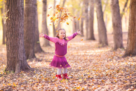 Cute little girl in autumn park with orange and yellow color leaves.の写真素材