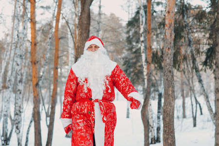 Santa Claus with long white beard walking in the winter forest.の写真素材