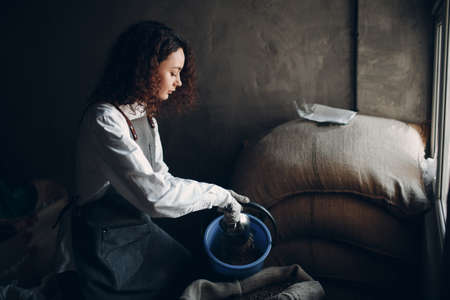 Green coffee beans in burlap sack and woman roaster with scoop.の写真素材