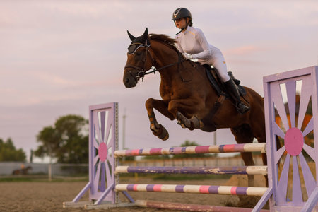 Dressage horse and rider in uniform during equestrian jumping competitionの写真素材