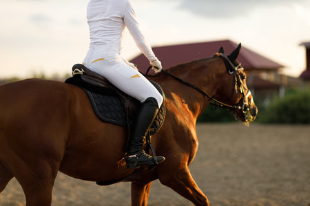 Woman rider jockey in helmet and white uniform preparing horse racingの写真素材