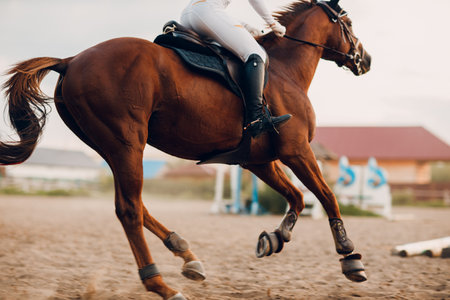 Dressage horse and rider in uniform during equestrian jumping competition or horse racingの写真素材
