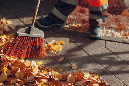 Worker sweeping away fallen autumn leaves with broomstick.の写真素材