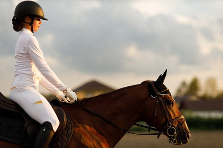 Woman rider jockey profile in helmet and white uniform preparing horse racingの写真素材