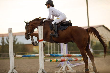 Dressage horse and rider in uniform during equestrian jumping competitionの写真素材