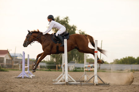 Side view of dressage horse in harness with female rider jockey in helmet and white uniform during jumping competitionの写真素材