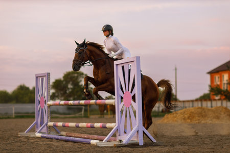 Dressage horse and rider in uniform during equestrian jumping competitionの写真素材