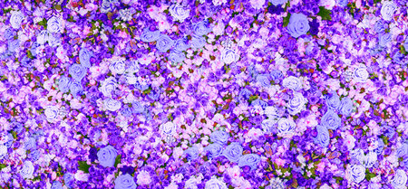 Many blooming flower lilac color backdrop for product presentationの写真素材