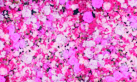 Blurred blossoming flowers wall lilac background for product presentationの写真素材