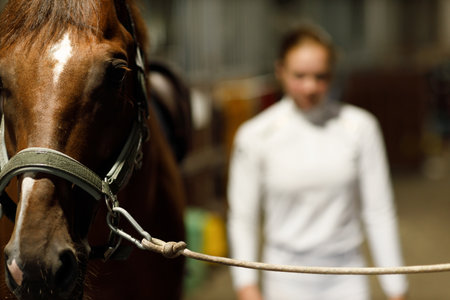 Woman rider at stable preparing horse for jumping competitionの写真素材